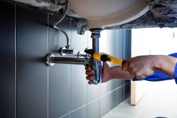 Best Green Plumbing Solutions and Water Conservation  in Lake Darby, OH